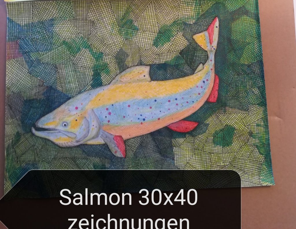 Zeichnung Salmon
