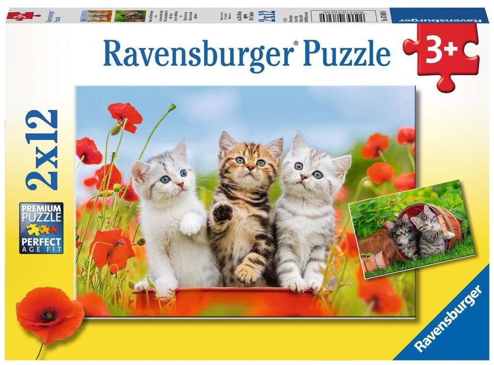 Katzen auf Entdeckungsreise    - Ravensburger Kinderpuzzle 2x12 Teile